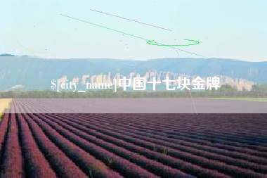 德州中国十七块金牌