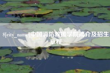 德州中国消防救援学院简介及招生章程