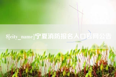 德州宁夏消防报名入口官网公告