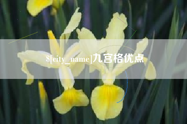 德州九宫格优点