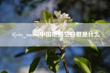德州中国地图空白框是什么