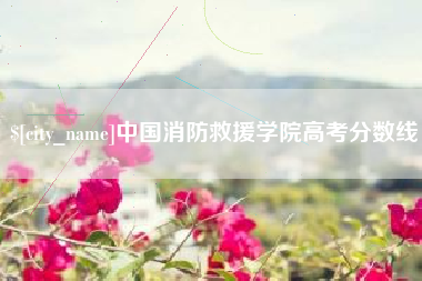 德州中国消防救援学院高考分数线