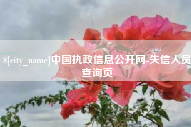 德州中国执政信息公开网-失信人员查询页