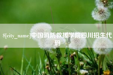 德州中国消防救援学院四川招生代码