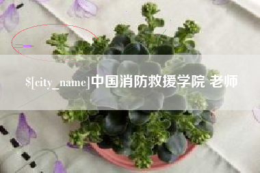 德州中国消防救援学院 老师