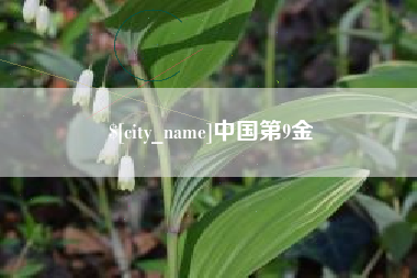 德州中国第9金