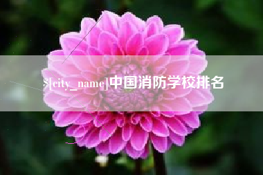 德州中国消防学校排名