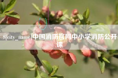 德州中国消防官网中小学消防公开课
