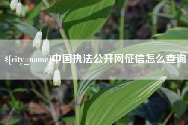 德州中国执法公开网征信怎么查询