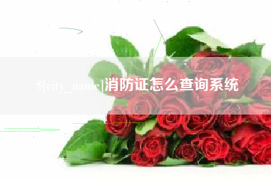 德州消防证怎么查询系统