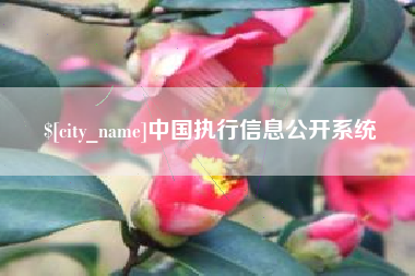 德州中国执行信息公开系统