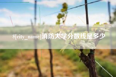 德州消防大学分数线是多少