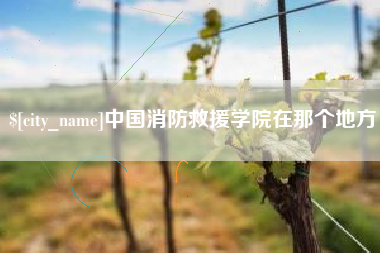 德州中国消防救援学院在那个地方