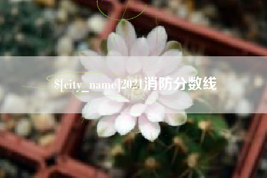 德州2021消防分数线
