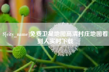 德州免费卫星地图高清村庄地图看到人实时下载