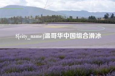 德州温哥华中国组合滑冰