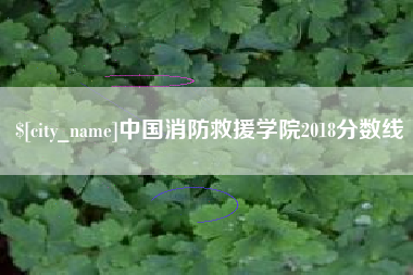 德州中国消防救援学院2018分数线