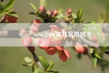 德州2021年九宫格风水