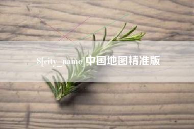 德州中国地图精准版
