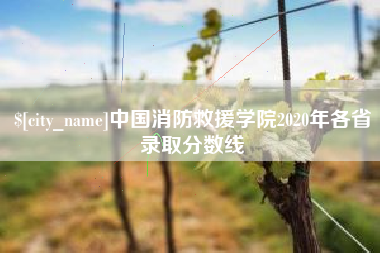 德州中国消防救援学院2020年各省录取分数线