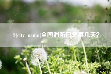 德州全国消防日是第几天？