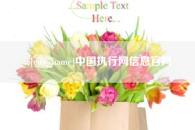 德州中国执行网信息官网