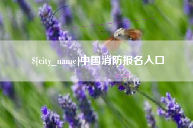 德州中国消防报名入口