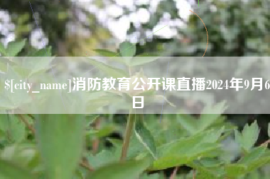 德州消防教育公开课直播2024年9月6日