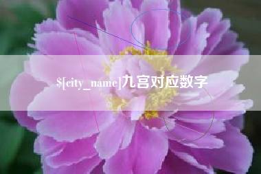 德州九宫对应数字