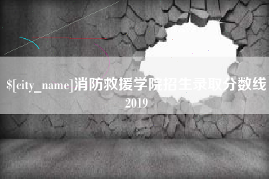 德州消防救援学院招生录取分数线2019