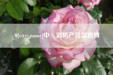 德州中囯消防产品信息网