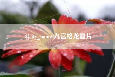 德州九宫格龙图片