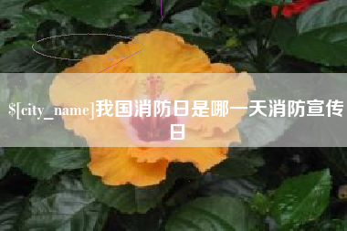 德州我国消防日是哪一天消防宣传日