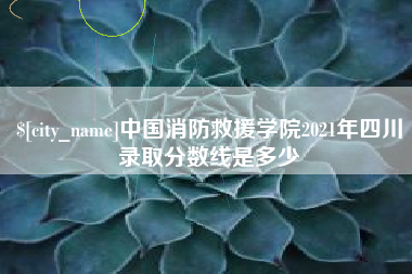 德州中国消防救援学院2021年四川录取分数线是多少