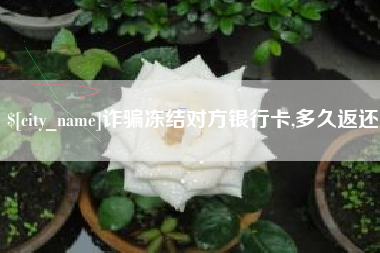 德州诈骗冻结对方银行卡,多久返还