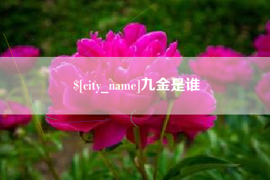 德州九金是谁