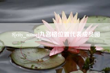 德州九宫格位置代表成员图