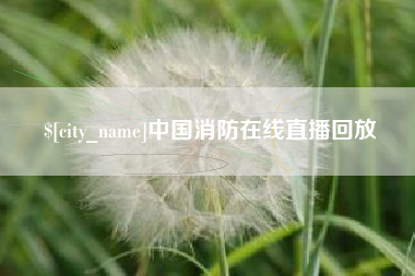 德州中国消防在线直播回放