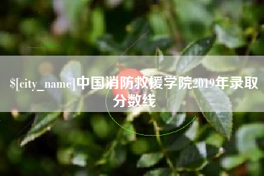 德州中国消防救援学院2019年录取分数线
