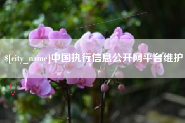 德州中国执行信息公开网平台维护