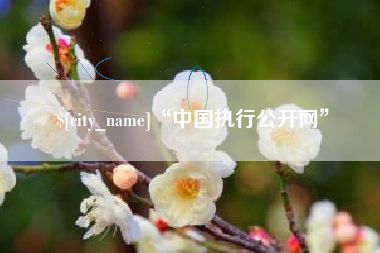 德州“中国执行公开网”