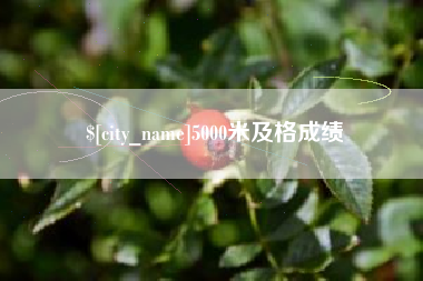 德州5000米及格成绩