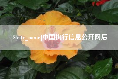 德州中国执行信息公开网后