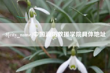 德州中国消防救援学院具体地址