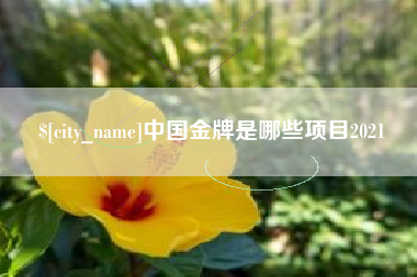 德州中国金牌是哪些项目2021