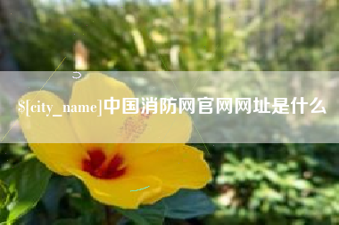 德州中国消防网官网网址是什么