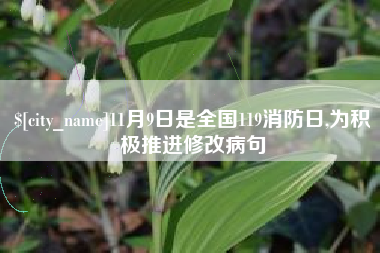德州11月9日是全国119消防日,为积极推进修改病句