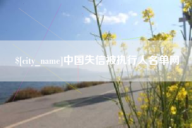 德州中国失信被执行人名单网