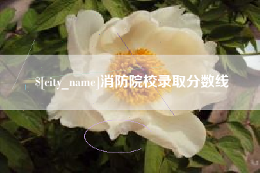 德州消防院校录取分数线