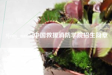 德州中国救援消防学院招生简章